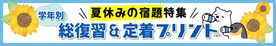 【夏休み特集 】学年別|総復習&定着プリント